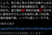 パ「辺野古遺族はネット右翼のデマに流されています!!あろうことか国会議員まで」  [5/6]
