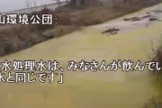 【韓国食品】台湾「辛ラーメンから農薬成分検出」１０００箱廃棄…メーカー農心の釈明は