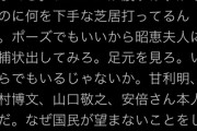 【？】立川談四楼「ゴーン妻キャロル夫人に逮捕状。ポーズでもいいから昭恵夫人に逮捕状出してみろ」