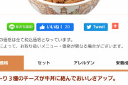 マジでチーズ牛丼頼みにくいんだが
