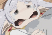 【悲報】 フリーレンさん、三日三晩咽び泣く
