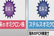 【韓国の反応】「オミクロンの次は “ステルスオミクロン” 、収束の可能性も」