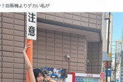 【画像】185cmのデカ女さん「怖いか？自販機よりデカい私が」