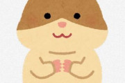 YouTuber「ハムスターを爬虫類の餌にするために繁殖させて飼育してる」 ← これ動物愛護法に触れない？大丈夫？