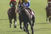 【競馬】ディープインパクトにブラックタイド、兄弟ともに超一流種牡馬って今までになかった。この一族スゲーな