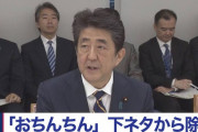 「政府が『おち○ち○』を下ネタから除外と閣議決定」という嘘ニュースがバズる→大量の反安倍が釣られて地獄絵図に
