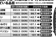 【悲報】高市政権、物価高を隠蔽するために冷蔵庫の値段は30分の1、ノートPCは69分の1にして政府発表統計ｗｗｗｗｗｗｗｗｗ