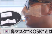 【コロナ】これを開発しちゃうから韓国のK防疫って凄いんだな