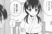 お前らの『咲-Saki-』への情熱が落ち着いてしまった理由ｗｗｗｗｗｗｗｗｗｗｗ