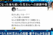【悲報】「捏造スクショ」でカウンター訴訟を喰らった木村母、お気持ち表明へ
