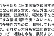 グローバリゼーションって中国のための政策だからな　～　モーリーロバートソン　「在日外国人に生活保護などさまざまな優遇措置。日本人とは何かを書き換える」