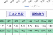 【悲報】日本の少子化対策、的はずれが過ぎる