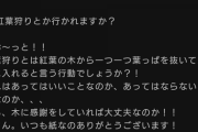 【乃木坂46】誰かやんちゃんに正解を教えてあげて‥