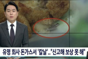 【悲報】韓国人「有名ブランドが発売する『韓国式トンカツ』に刃物の様な遺物が混入！」消費者がクレームを入れても会社は補償せず　韓国の反応