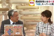 【悲報】フジテレビ「N国はスーパーマーケットで例えると訳あり品」