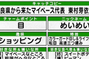 【日向坂46】『ひらがな推し』めいめいのキャッチコピー、何かいいの無いかな？？？