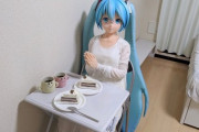 【画像】初音ミクと結婚した男性のその後wwrwwiwrwivwiv