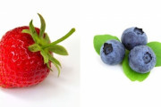 「イチゴやブルーベリーの成長過程がひと目でわかるように並べてみた…」つぼみから完熟するまでの写真