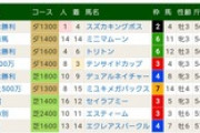 【競馬】内田博幸ソムリエが日曜日の騎乗馬を解説！(新馬除く)