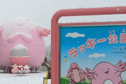 【ポケモンSV】あの「お化け耐久ポケモン」リアル吹雪を食らい凍結