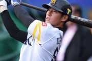 上林誠知(22) .270 22本 62打点 13盗塁 OPS.803 ←これ