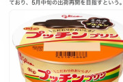 【悲報】プッチンプリン、5月中旬まで出荷停止