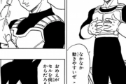 ベジータ「貴様が戦闘服を着ても無駄だぞｗ」 悟空「おめぇがセルを倒しちまうからだろ？ｗ」