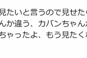 けものフレンズ２を見た子供「なんか違う。かばんちゃんが変わっちゃったよ、もう見たくない」