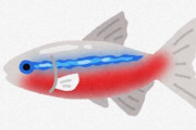 アクア民さん「初めての熱帯魚、青色がキレイな魚を飼いたいけどなにがいい？」