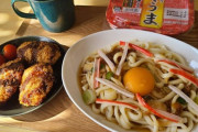 ワイの作ったくそうまそうなうどん定食ｗｗｗｗｗｗｗｗｗ