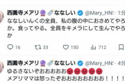 【ななし】メアリさん、荒ぶる！