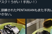 【画像】Twitter民さん、コロナウイルス対策と称してカメラを洗剤で洗ってしまうｗｗｗｗｗｗｗｗ