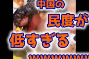 【悲報】中国の民度が低すぎてコーラ噴いたｗ （動画あり）