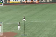 【GIF】ソフトバンク今宮の肩wwwww