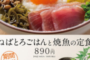 【画像】うわぁー、こんなごちゃごちゃした複雑怪奇な定食、見たことあるか…