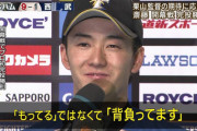 昔の斎藤佑樹「今は持ってるではなく背負ってる」「最強の24歳になる」「シーズン25勝する」