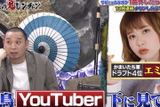 千鳥さん、Youtuberはテレビタレントになれなかった雑魚とディスる