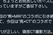 獣医｢馬のCT撮りました｣ﾊﾟｼｬｯ 女さん｢！！！｣ｼｭﾊﾞﾊﾞﾊﾞﾊﾞ