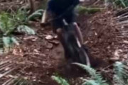 【ハプニング】 男が森の中を自転車で走っていた。その姿を自撮りしている。ファッ！？ → こんな映像が撮れました…
