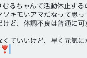 晒し屋女子さん「スロ6のりむるちゃん、クソキモいアマだなって思ってて大嫌い」