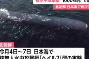 北朝鮮、放射能の津波を起こす核無人水中攻撃艇「ヘイル2型」の実験実施…71時間1000キロ潜航、目標水域で起爆！