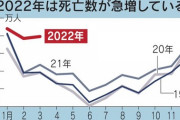 苫米地英人教授「国内で謎の死者が急増してる。コロナ死の４倍。予測してた事態だ」