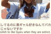 海外「絶滅した黒ギャルを好きになるのは馬鹿、そんな意見に日本人が神の返しをしてる」
