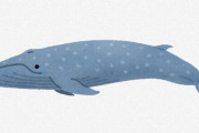 世界で一番デカイ生物がクジラって夢なさすぎだよな