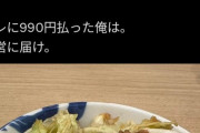 【悲報】松屋の「二郎系牛丼」を食べた人、ブチギレるｗｗｗｗ