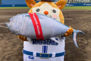 マルハニチロ、今年もベイスターズ春季キャンプの「冠」スポンサーに！