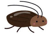 ゴキブリにひとつだけかわいい特徴追加して許容される存在にしろｗｗｗｗ