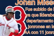 阪神、新外人ホアン・ミエセス外野手（２７）獲得。マイナー通算１４０発の長距離砲