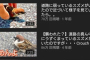 【闇画像】弱った生き物によく遭遇するYouTuberが見つかる