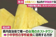 【愛媛】中国が輸入停止の台湾産パイナップル　松山市が学校給食で活用へ